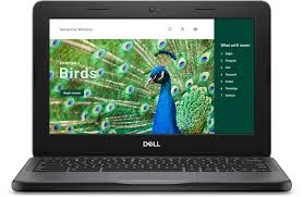 Dell CHROMEBOOK 3120 N100 11.6" INGLESE, TASTIERA GB